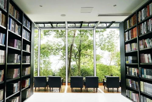 以書為媒 一對年輕夫婦的浪漫創業與數字文化傳播之路