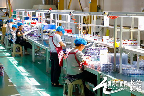 長(zhǎng)治高新區(qū) 新品精品名品優(yōu)品 系列 納米晶共模電感