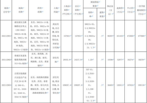第三批集中供地首現 雙限雙定房